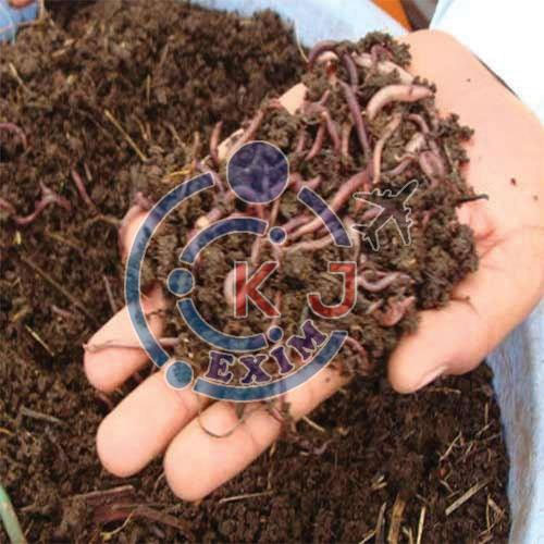 biggest earthworm vermicompost fertilizer exporter in kolhapur